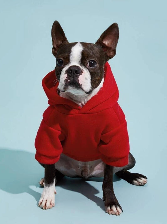 Hooded Petsin Sweatshirt Red